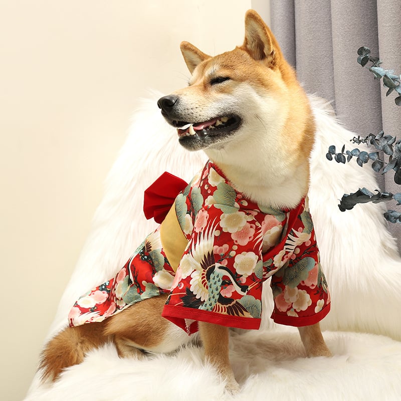 Shiba Inu Dog Clothes Kimono 5
