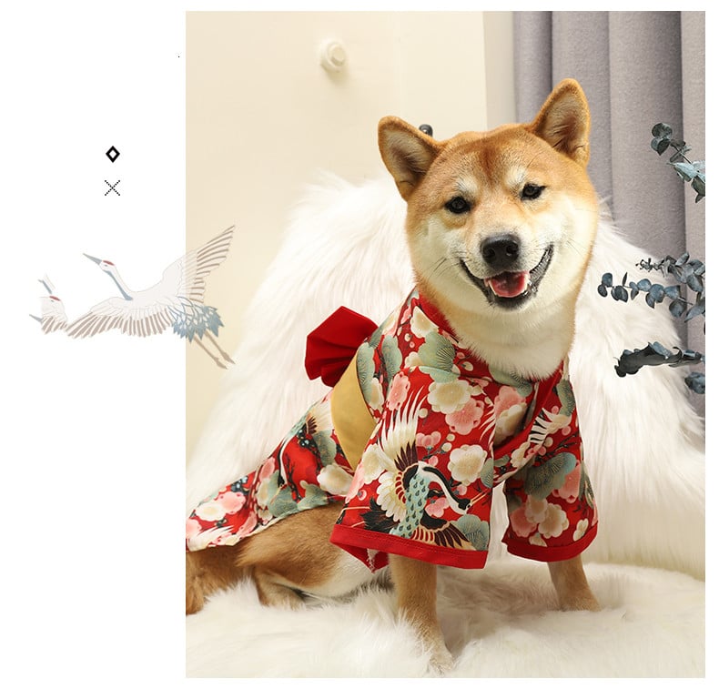 Shiba Inu Dog Clothes Kimono 6