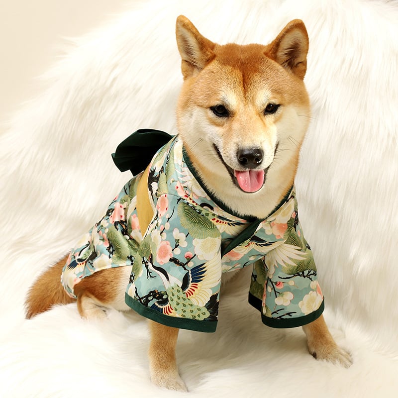 Shiba Inu Dog Clothes Kimono 4