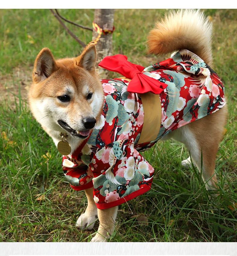 Shiba Inu Dog Clothes Kimono 7