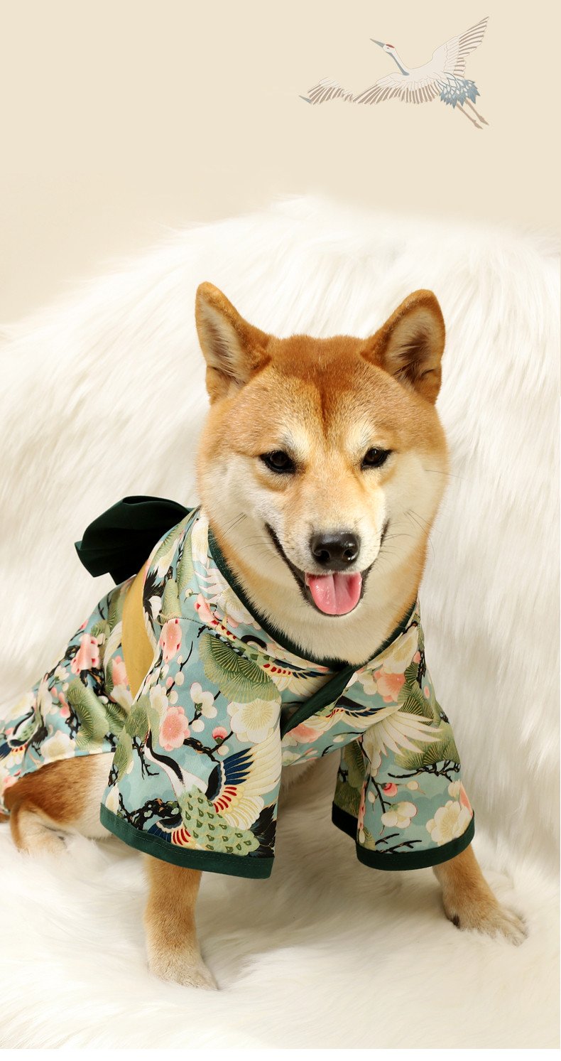 Shiba Inu Dog Clothes Kimono 3