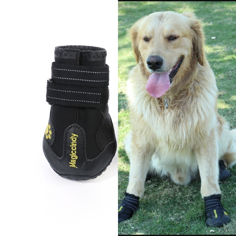 Botas para Perros 6