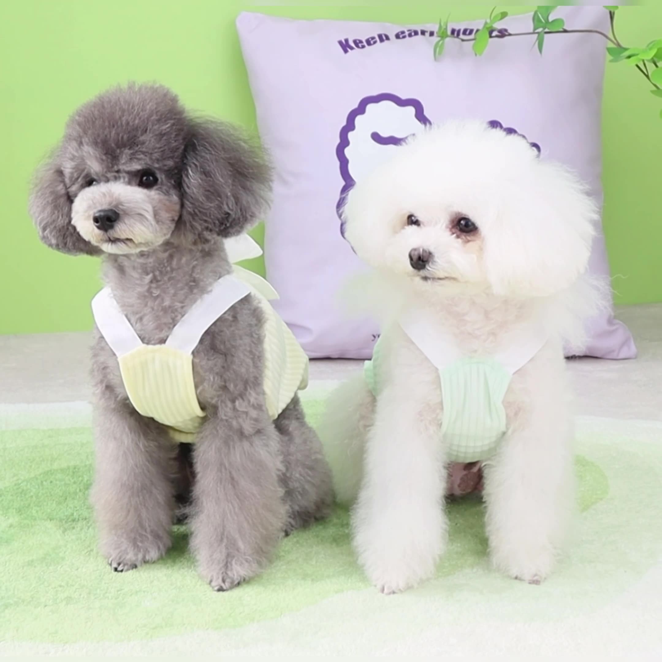 Puppy Skirt 6