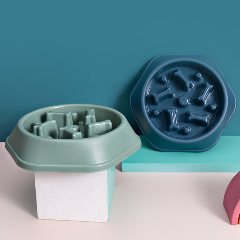 Choke Prevention Dog Bowl