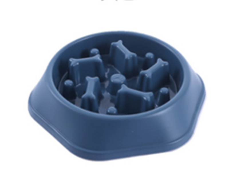 Dog Eating Bowl