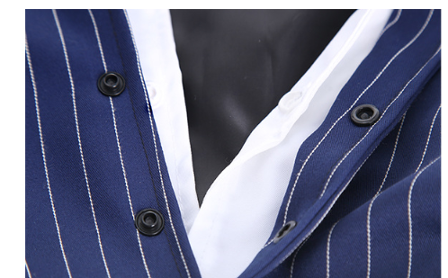 Large Dog Stripe Bow Tie Suit Image 3