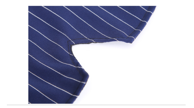 Large Dog Stripe Bow Tie Suit Image 2