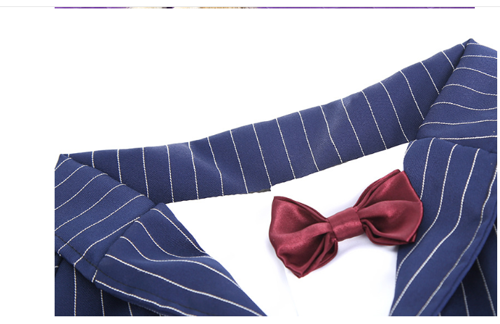 Large Dog Stripe Bow Tie Suit Image 4