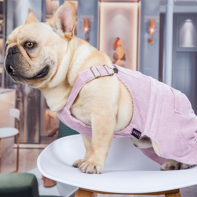 Fashion Personality Pet Clothes 3