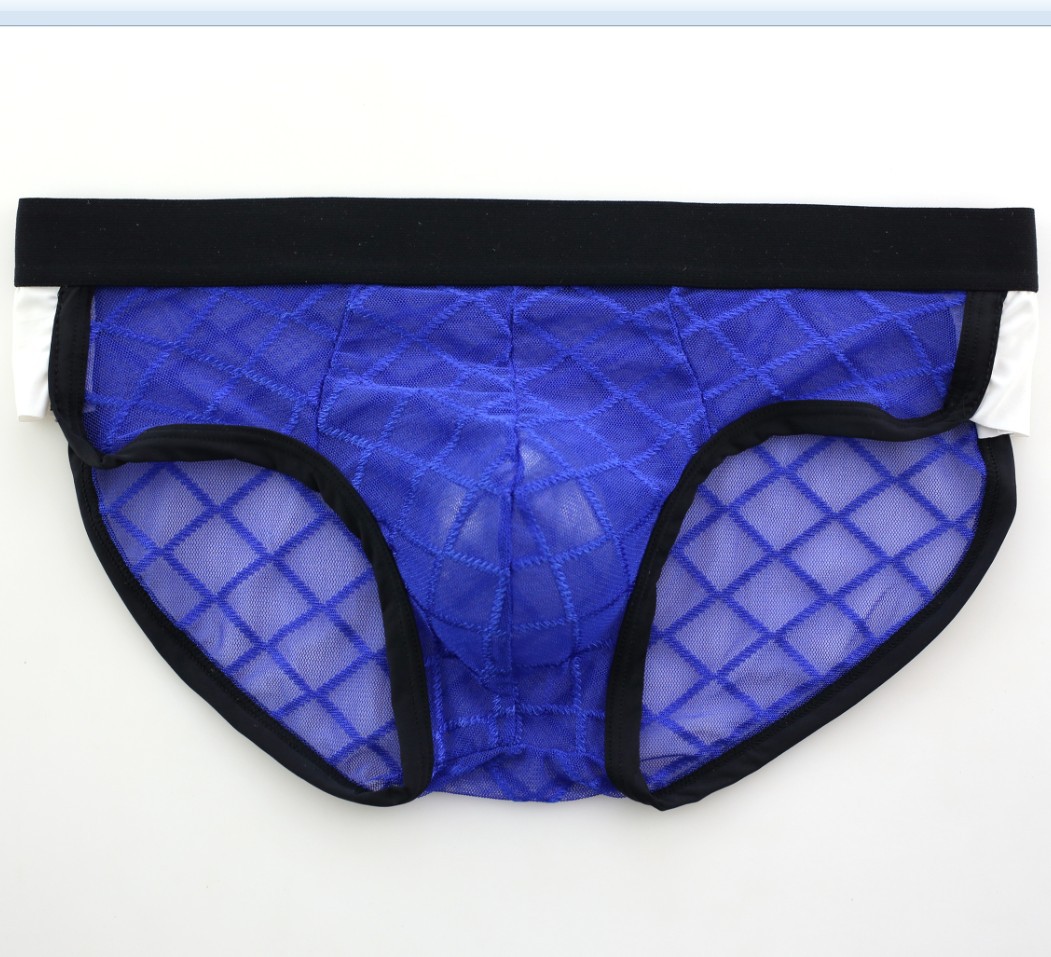 Men's Triangle Underwear Image 4