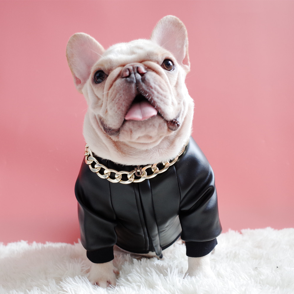 Dog Clothes Image 3