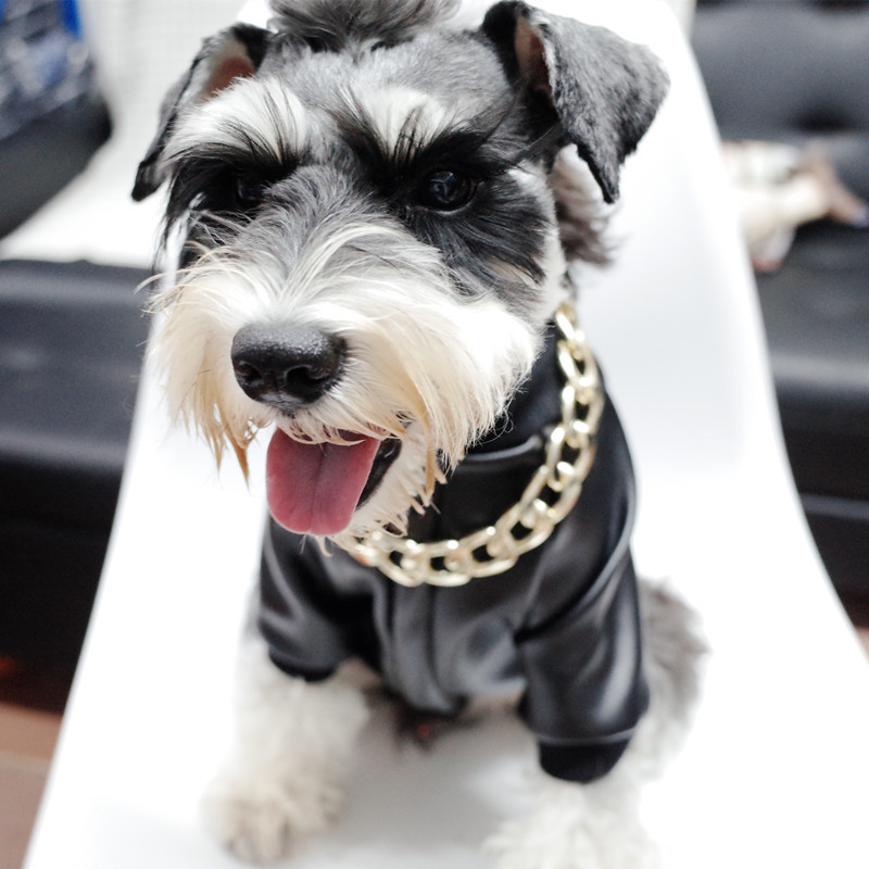 Dog Clothes Image 4