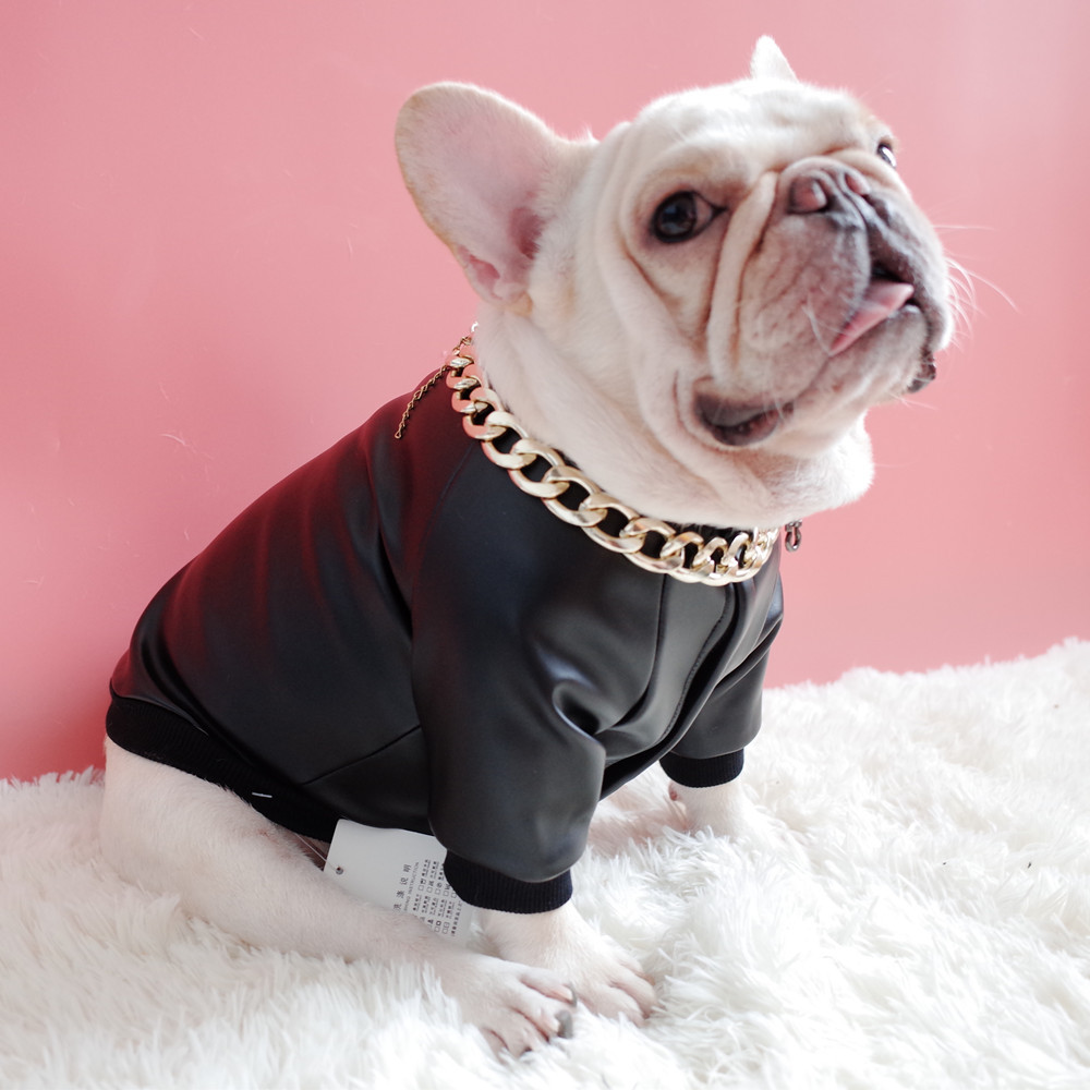 Dog Clothes Image 2