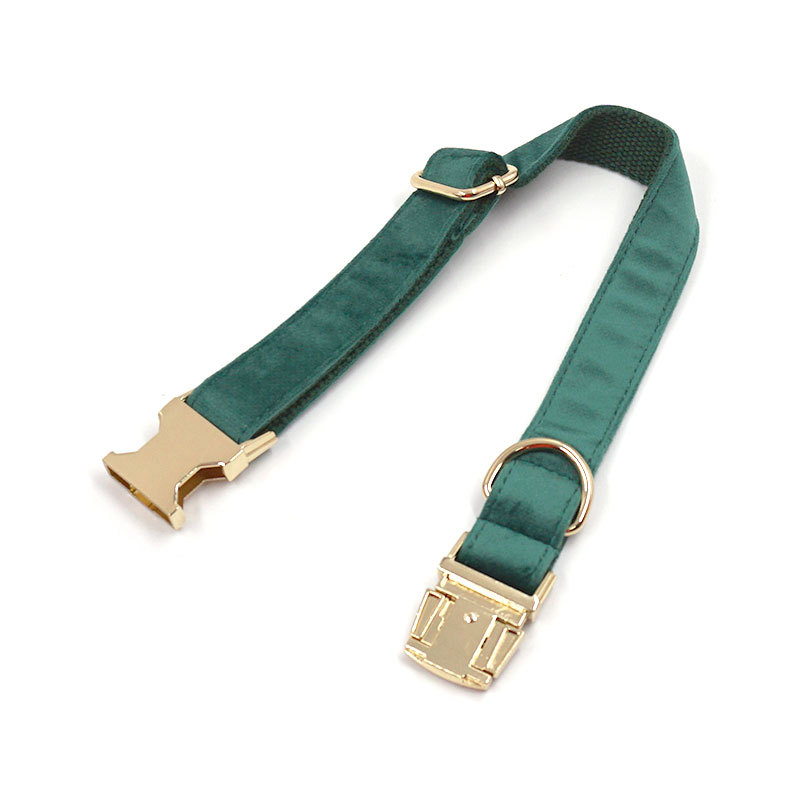 Green Velvet Dog Collar Close-up