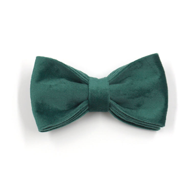 Green Velvet Dog Fashion