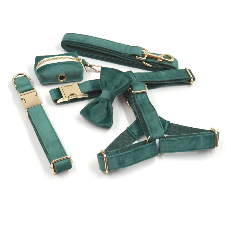 Green Velvet Dog Collar and Leash