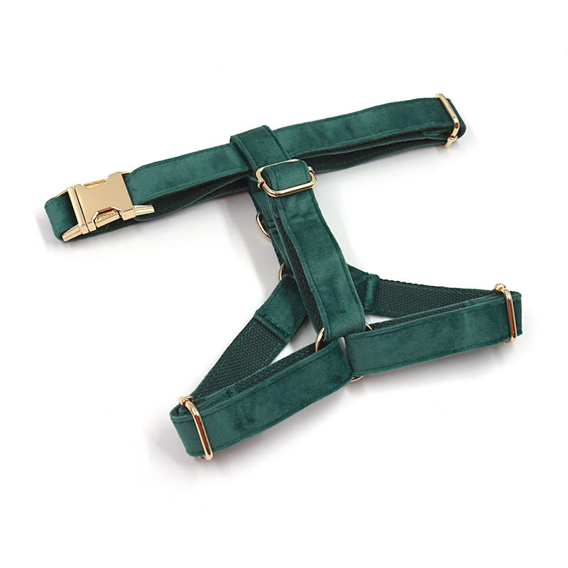 Green Velvet Dog Accessories