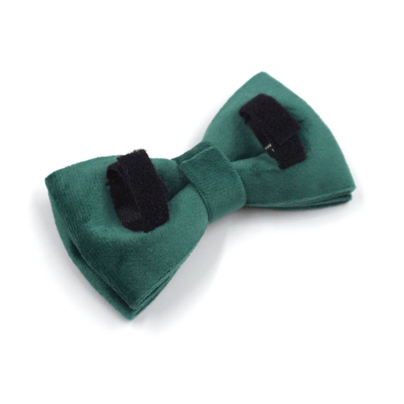 Complete Green Velvet Dog Outfit
