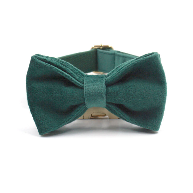 Stylish Green Velvet Dog Gear