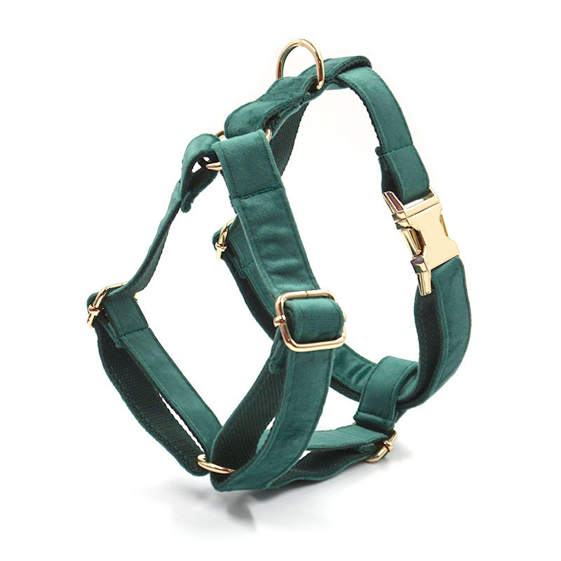 Green Velvet Dog Set