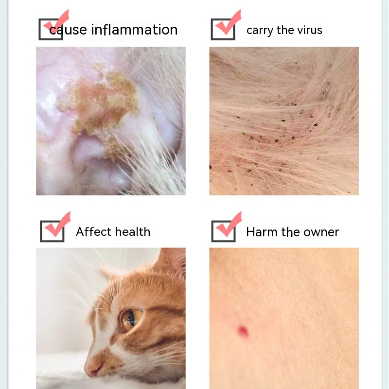 Pet Essential Oil Collar