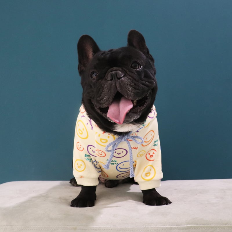 Dog wearing beige hoodie
