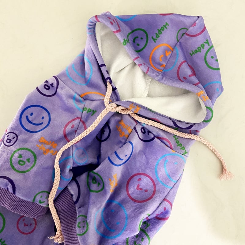 Dog in purple velvet sweater