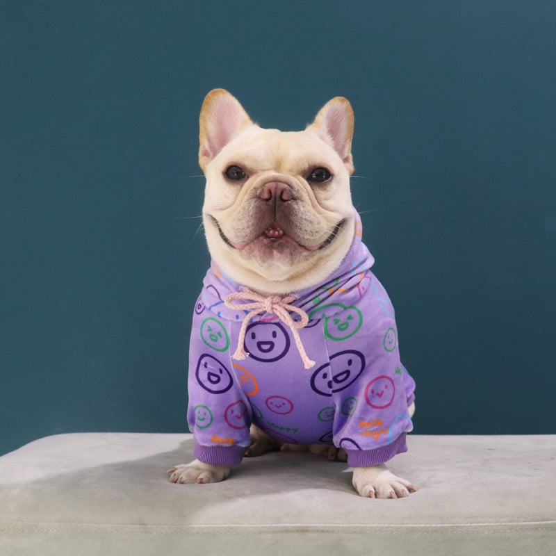 Dogs wearing hoodies