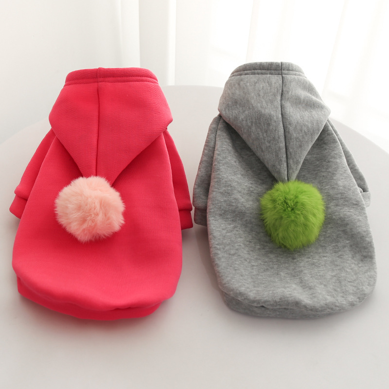 Pet autumn fashion