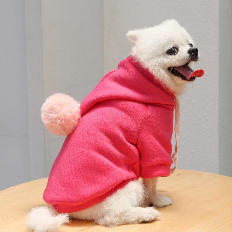 Comfortable pet sweater