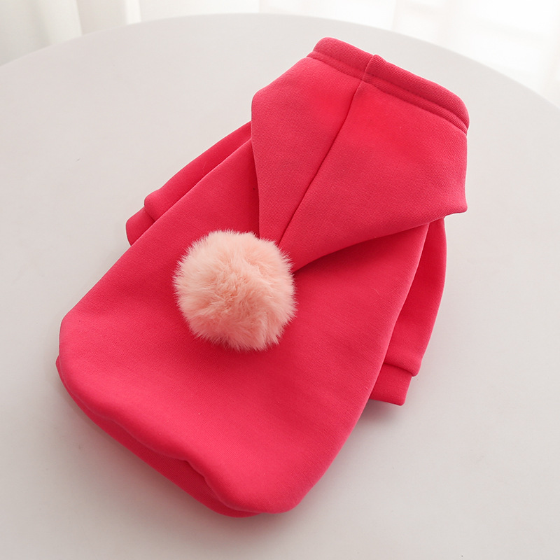 Adorable sweater for pets