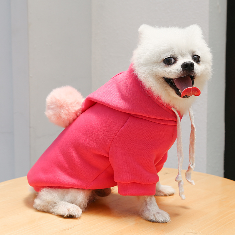 Cute autumn sweater for pets