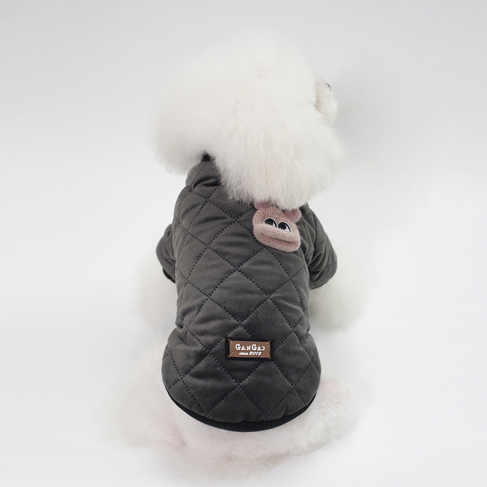 Cute Dog Wearing Jacket