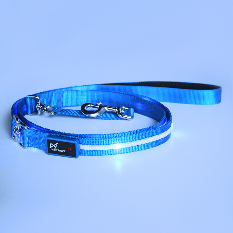 Luminous Pet Leash