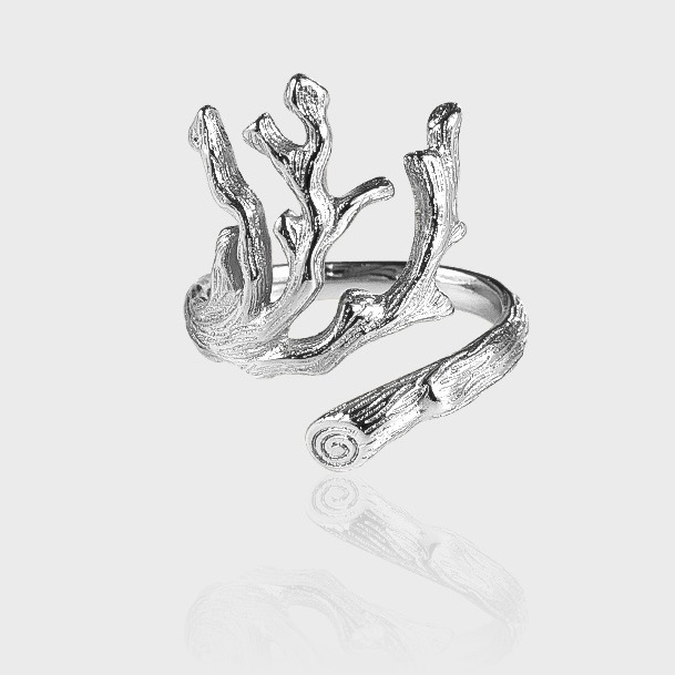 Branch Lava Texture Silver Ring Image 1