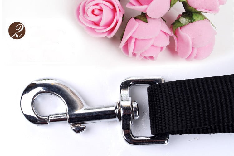 Running dog leash - Blue Black