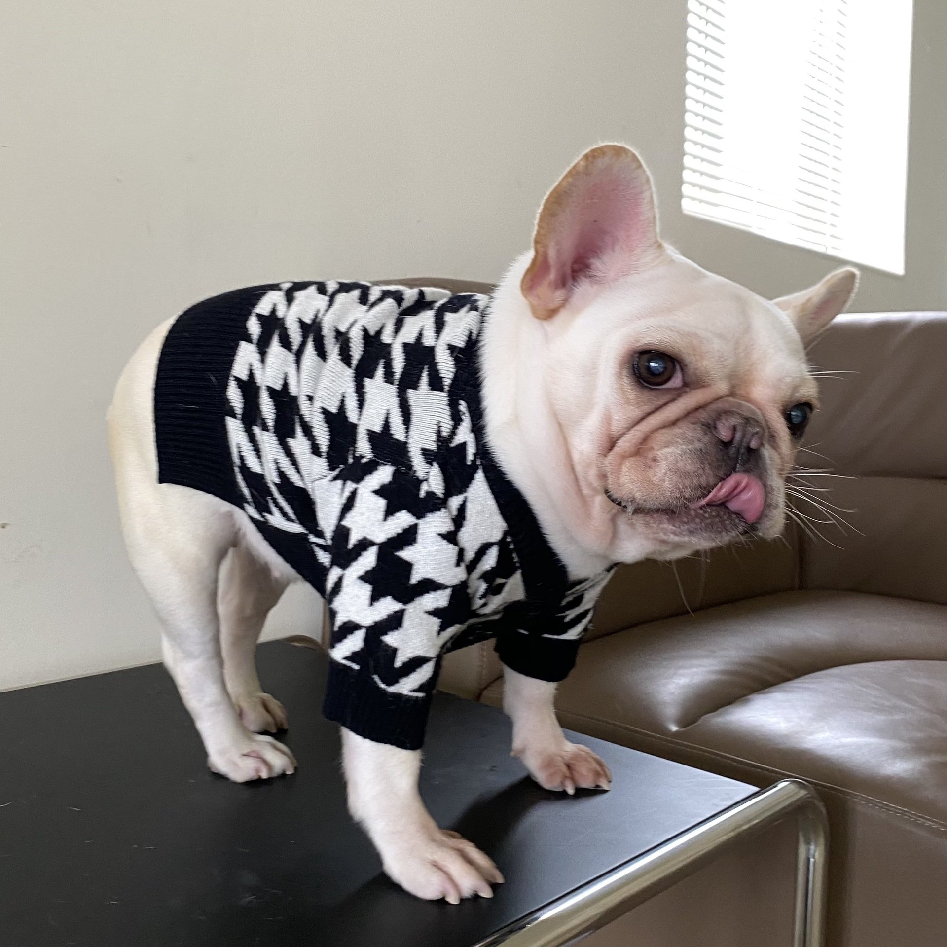 Pet Sweater Image 6