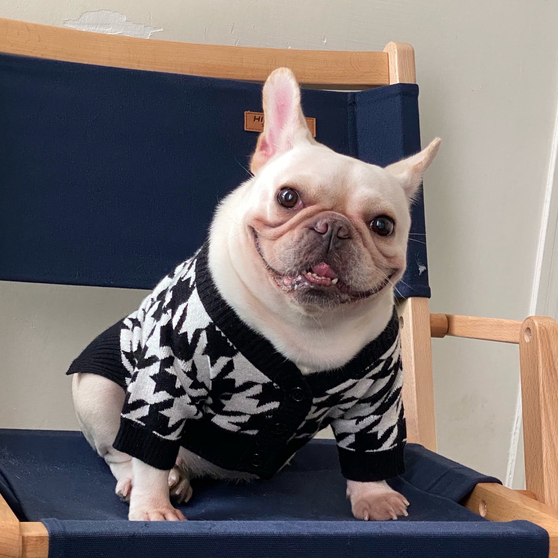 Pet Sweater Image 4