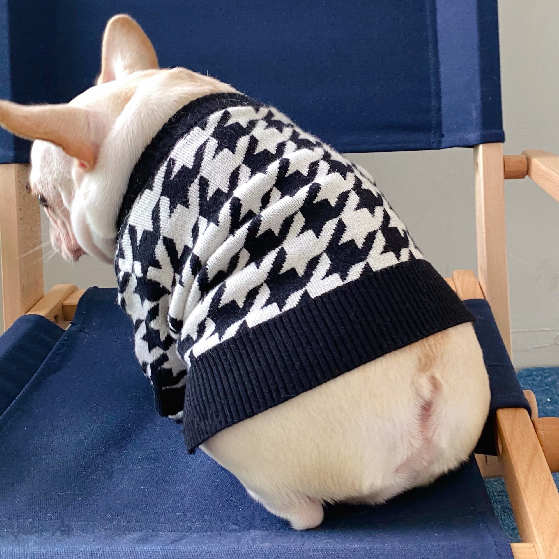 Pet Sweater Image 5