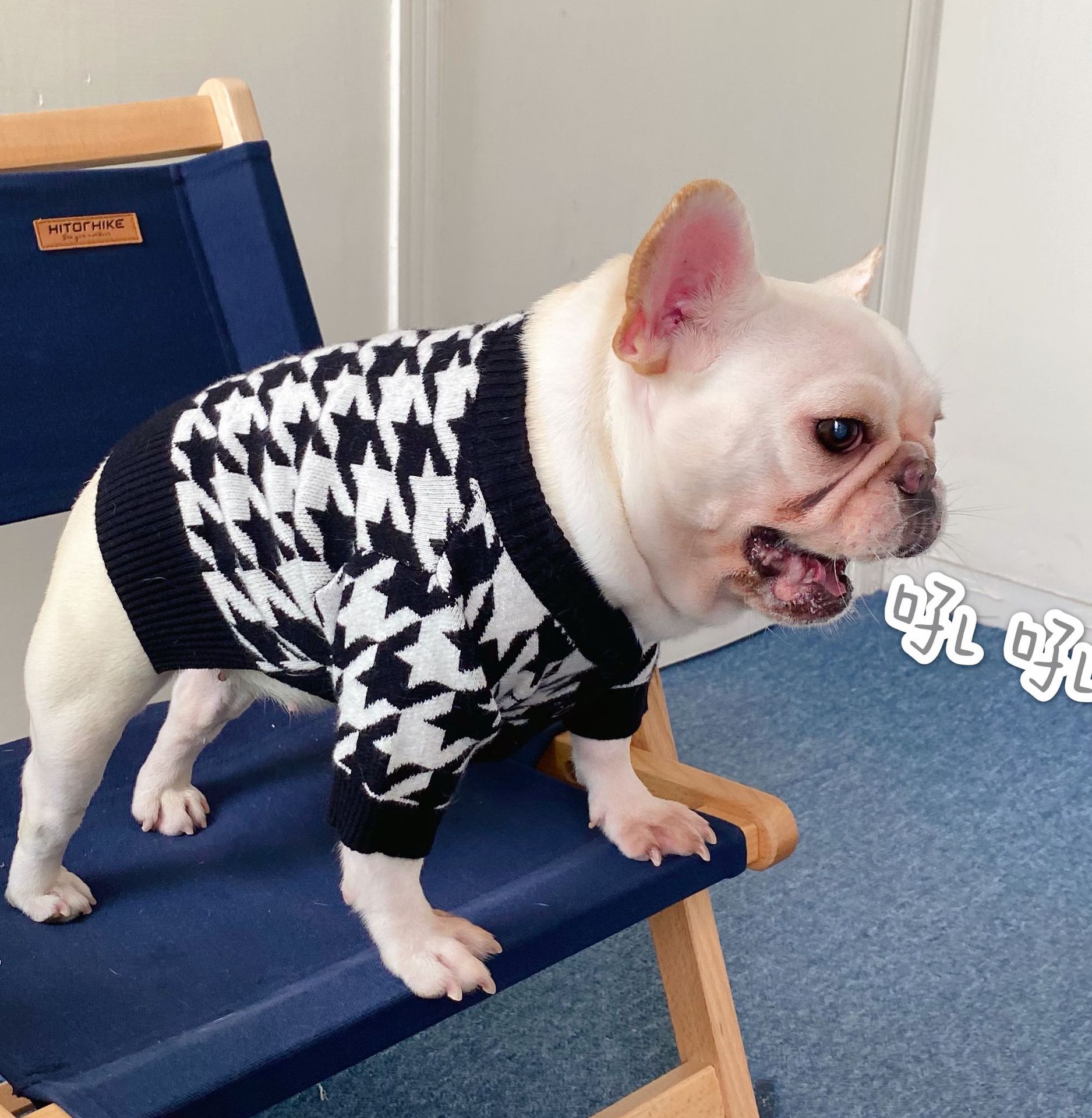 Pet Sweater Image 3