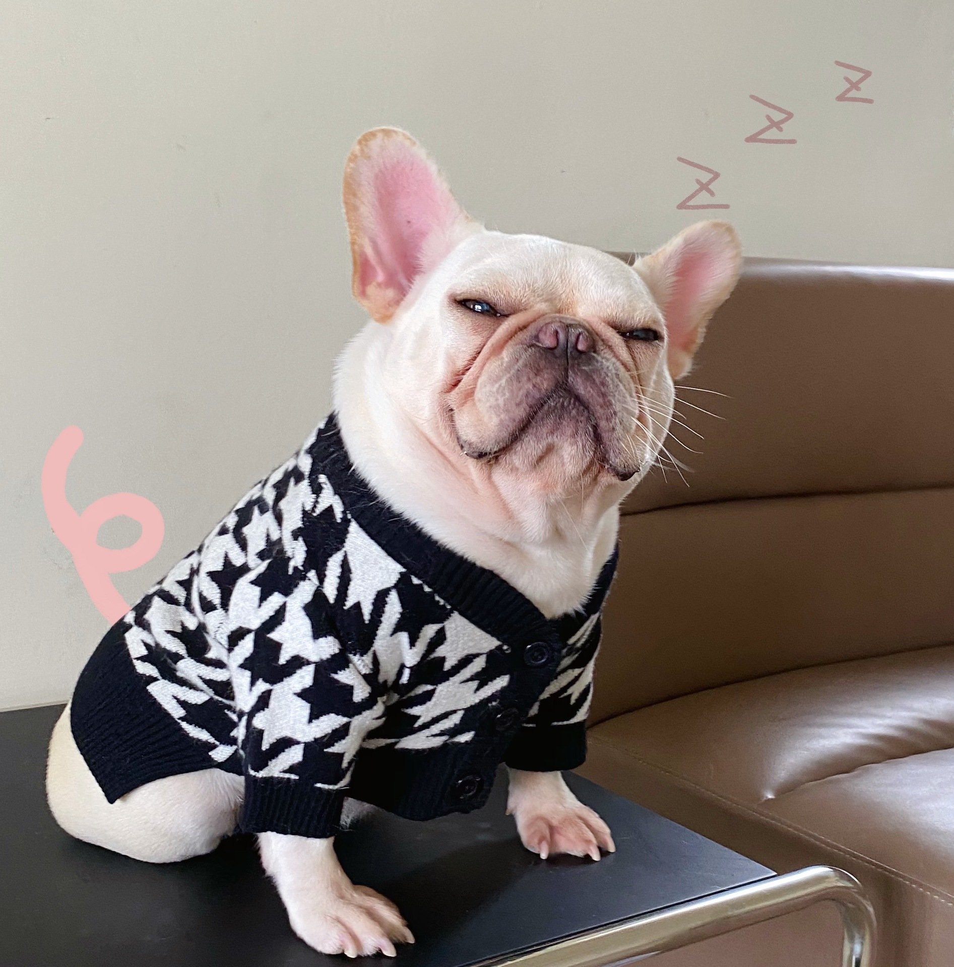 Pet Sweater Image 2