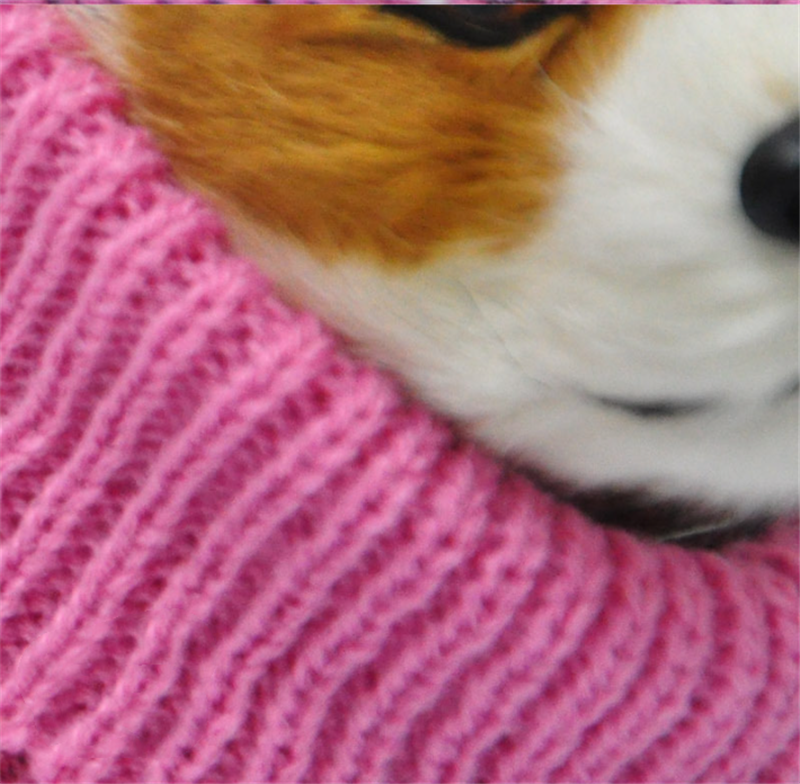 Stylish Pet Sweater