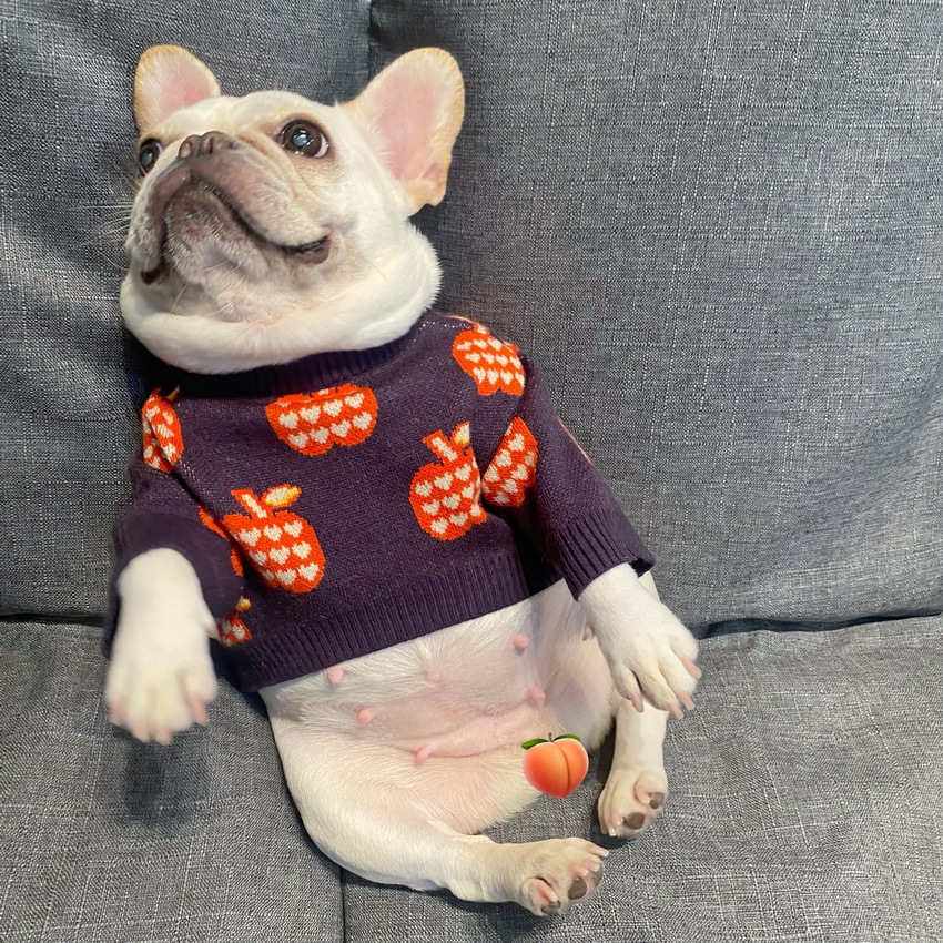 Sweater Image 3