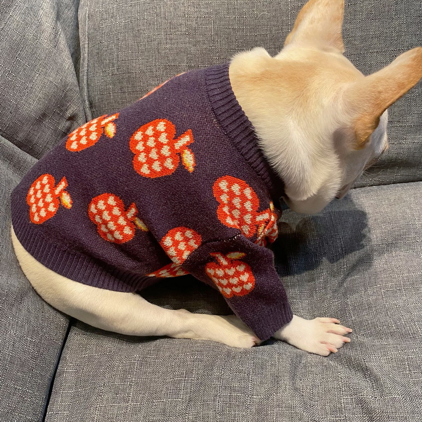 Sweater Image 1