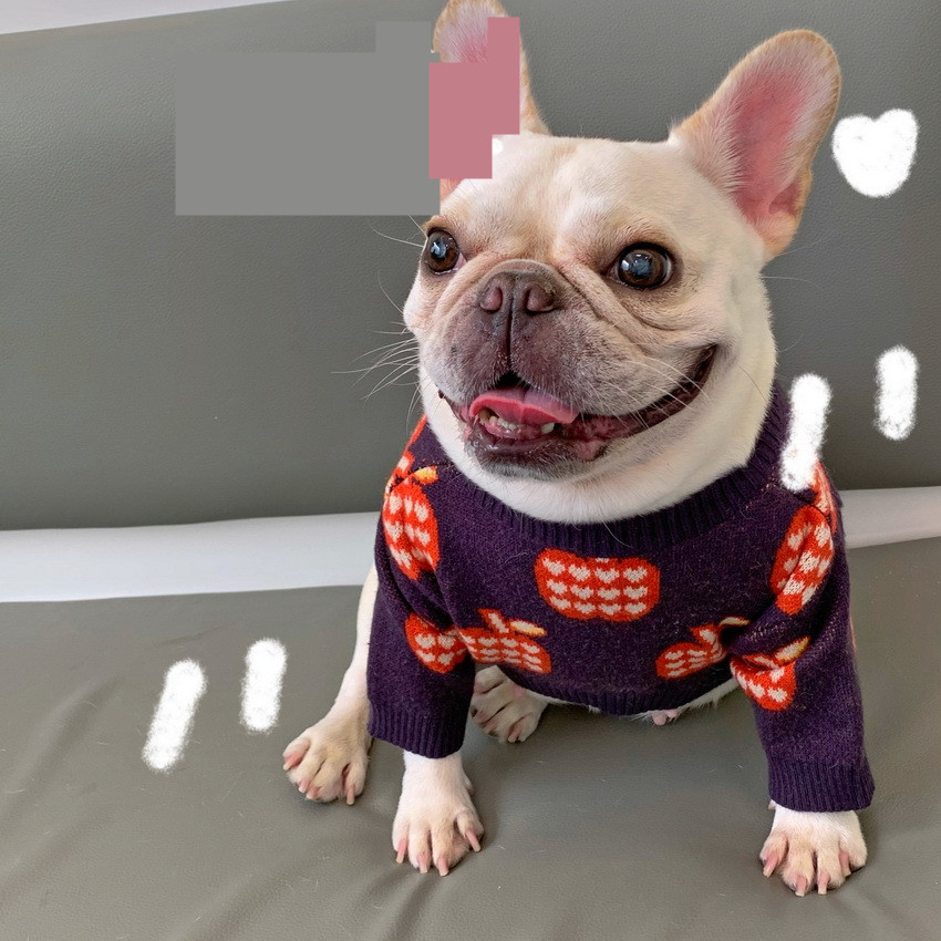 Sweater Image 2