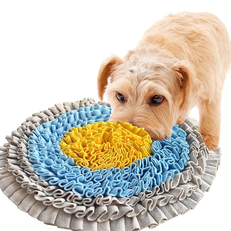 Smelling Pad Training Blanket
