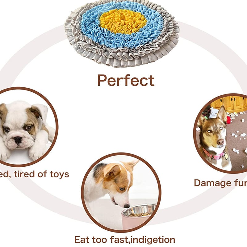 Interactive Pet Toy