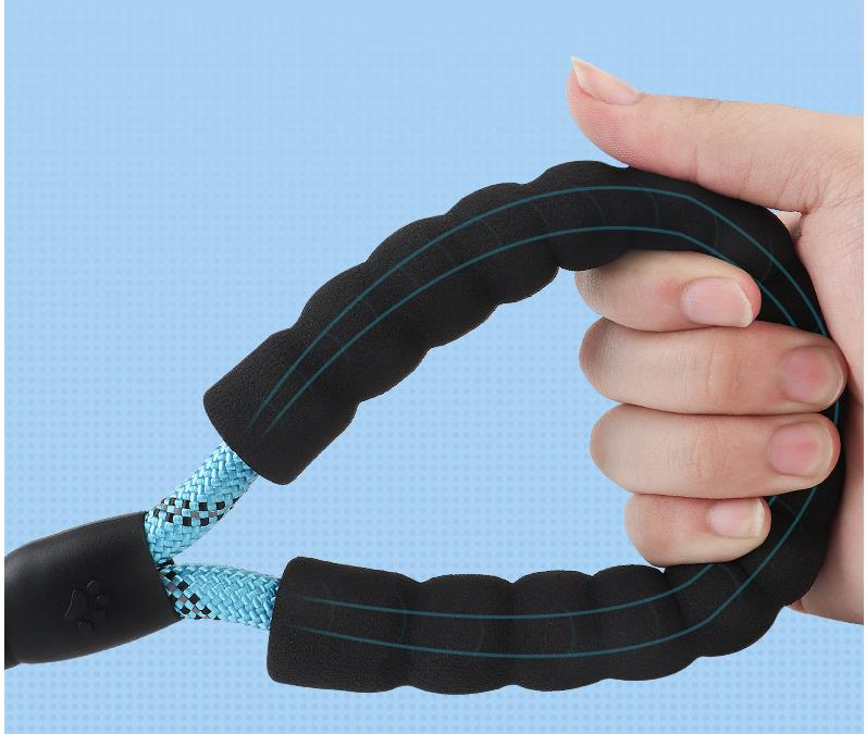 Outdoor Nylon Woven Dog Walking Traction Belt