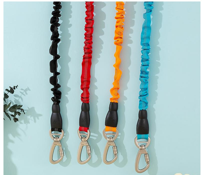 Outdoor Nylon Woven Dog Walking Traction Belt