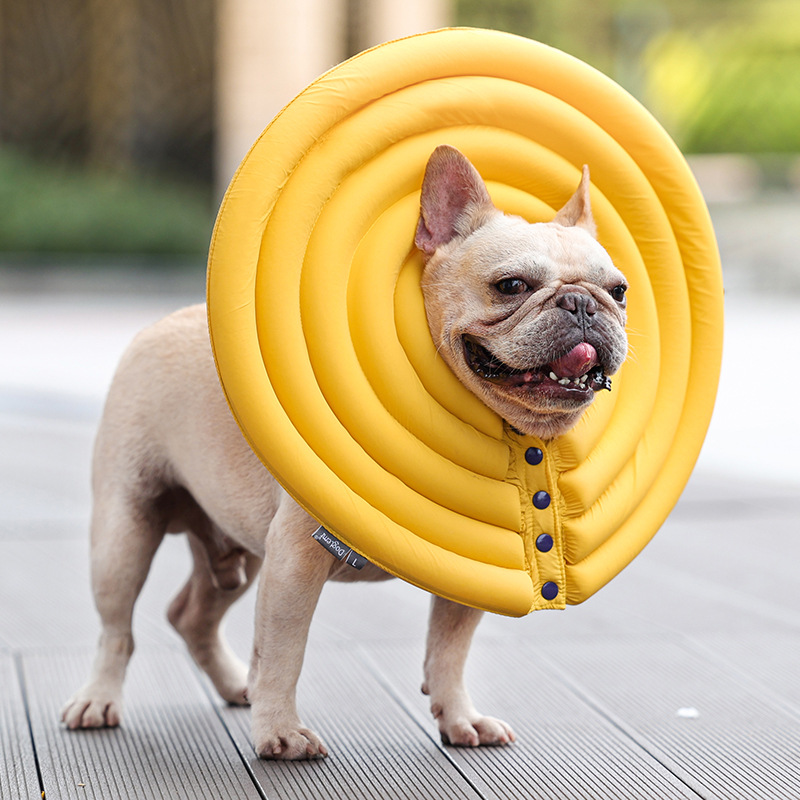 Pet Protection Ring 3